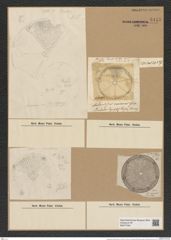 Aulacodiscus amoenus Grev. (de-Toni-Nr.: Genus 182, Species 4529) Zeichnungen Sammlung Grunow Nr. 8117 (NHMW-BOT-W0377464)